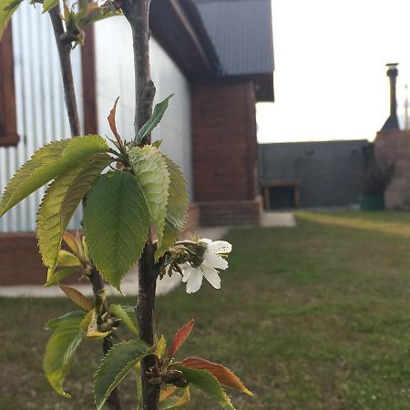 Casa Patagonica Los Frutales El Calafate Exterior foto