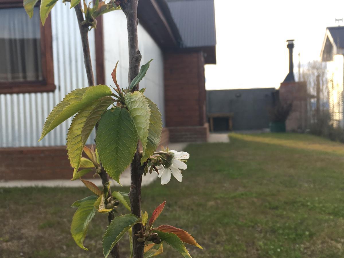 Casa Patagonica Los Frutales El Calafate Exterior foto